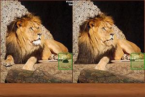 Safari Spot the Difference poster