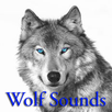 Wolf Sounds APK