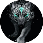 Silver Wolf Masculine Black icon