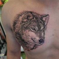 Wolf Tattoo Design screenshot 3