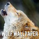 Wolf Wallpaper APK