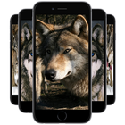 Wolf Wallpapers أيقونة