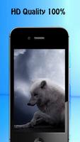 Wolf Wallpapers 截图 2