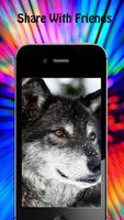 Wolf Wallpapers تصوير الشاشة 3