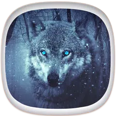 Wolf Wallpapers APK download