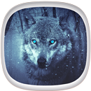 Fond d Écran Loup APK