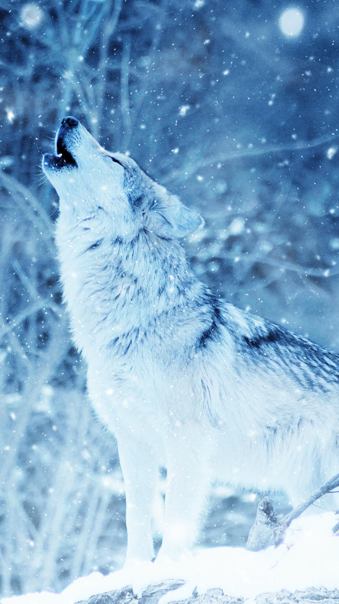 Wolf Hintergrundbilder Fur Android Apk Herunterladen