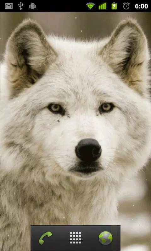 下载壁纸狼的安卓版本