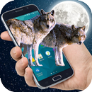 Loup sur l'écran de chasse loup dans Téléphone APK