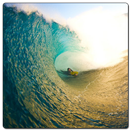 Surfing Best Wallpapers APK