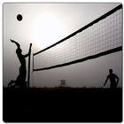 Volleyball Best Wallpapers أيقونة