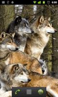 wolves live wallpaper syot layar 1