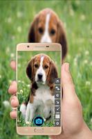 HD Camera اسکرین شاٹ 1
