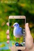 HD Camera اسکرین شاٹ 2