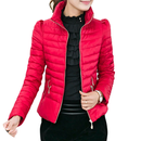 Women Winter Coat Ideas APK