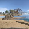 Companion For Rust APK