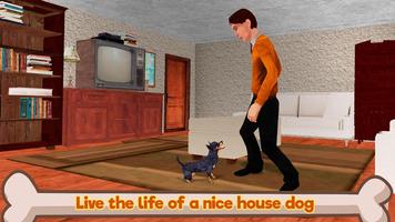 Chihuahua Dog Simulator 3D Affiche