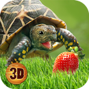 Turtle Simulator: House Life APK