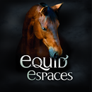 Equid'Espaces 2014 aplikacja