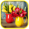 Wonderful flowers Images APK