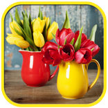 Wonderful flowers Images