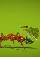 Ant Live Wallpaper capture d'écran 2