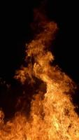 Fire capture d'écran 1