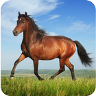 Horse icon