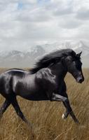 Horse screenshot 3