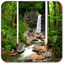 Forest Waterfall Live Wallpape-APK