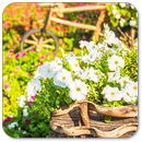 Spring Flowers Wallpaper for chat APK