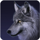 Wolf Live Wallpaper APK