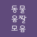 동물움짤모음 APK