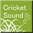 Cricket Sound APK