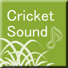 Cricket Sound icône