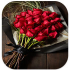 صور و خلفيات ورود حمراء icon