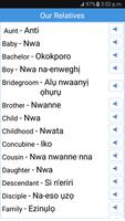 Daily Words English to Igbo ảnh chụp màn hình 2