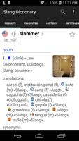 English Spanish Slang Dictionary capture d'écran 2