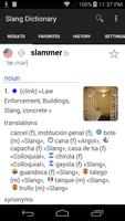 English Spanish Slang Dictionary 截圖 2