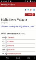 Latin Bible poster