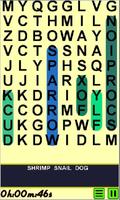 Poster Word Search