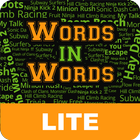 Find Words in Word icône