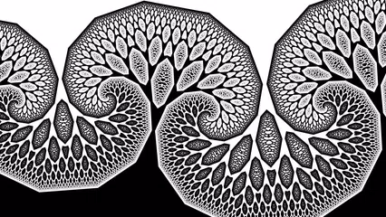 Fraksl XAPK download