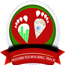 Pedometer Walking Track APK