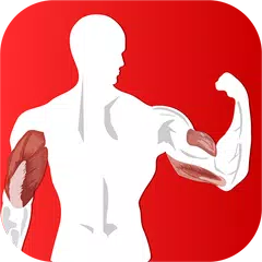 Perfect Arm workout challenge APK download