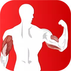 perfekt Armtraining Foulspiel APK Herunterladen