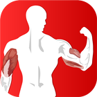Perfect Arm workout challenge biểu tượng