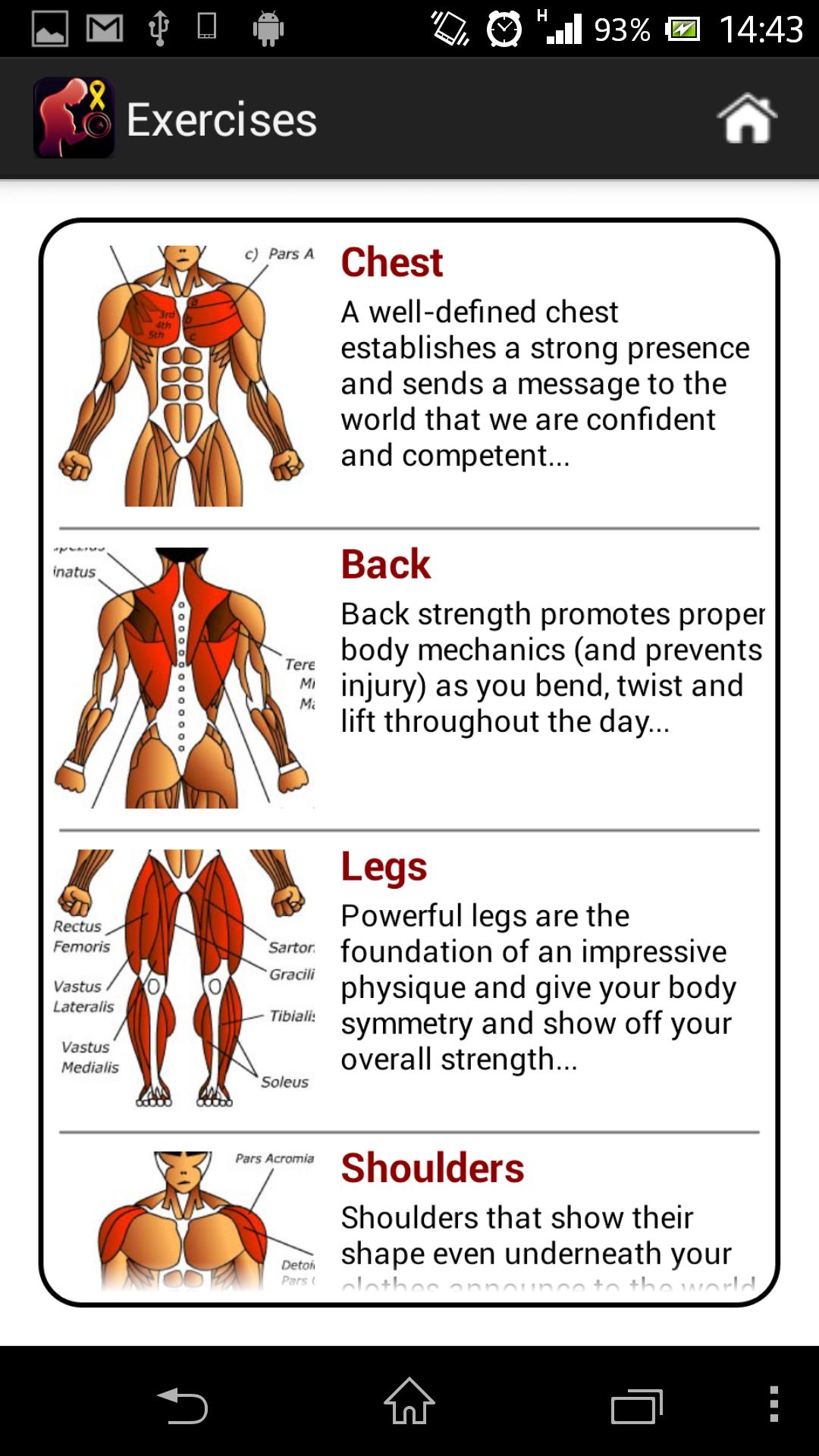 Dumbbell Muscle Workout Plan T for Android - APK Download