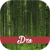 Nature sounds APK