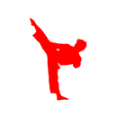 World Cup Karate and Fitness APK